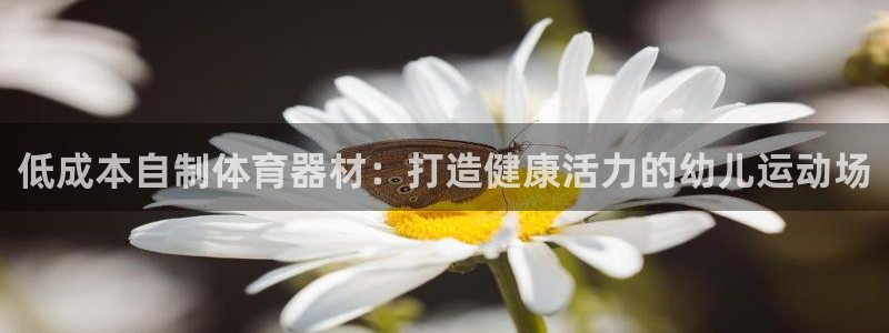 星欧娱乐属于什么档次的软件啊：低成本自制体育器材：打