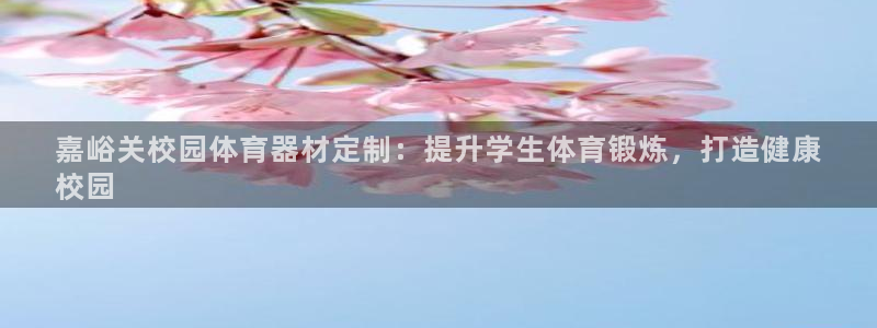 星欧娱乐法711.112不退款后果：嘉峪关校园体育器