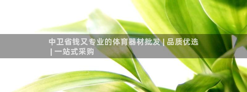 星欧娱乐最建议买的三个产品是什么呢：中卫省钱又专业的